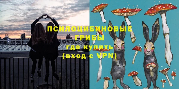 винт Аркадак